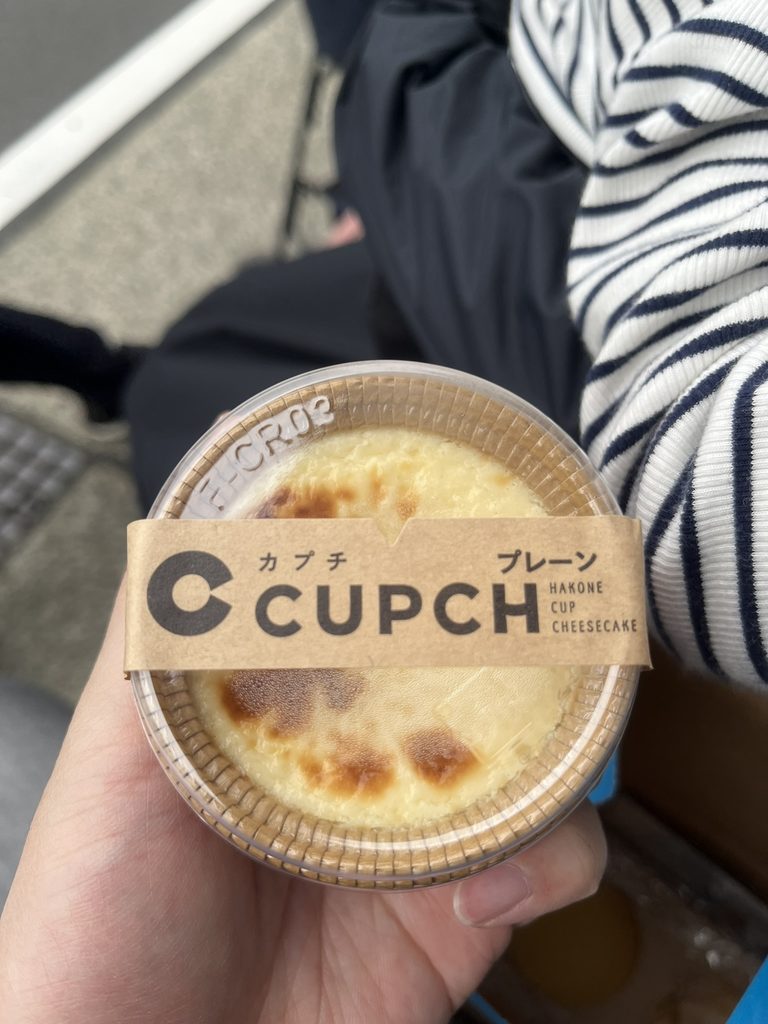 チーズテラスのチーズケーキ（プレーン）