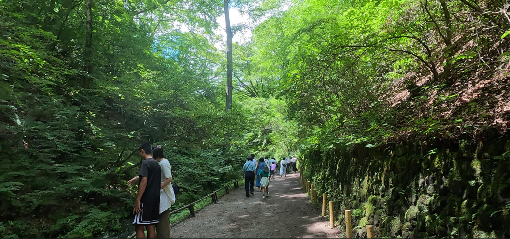 白糸の滝まで続く緑に囲まれた遊歩道