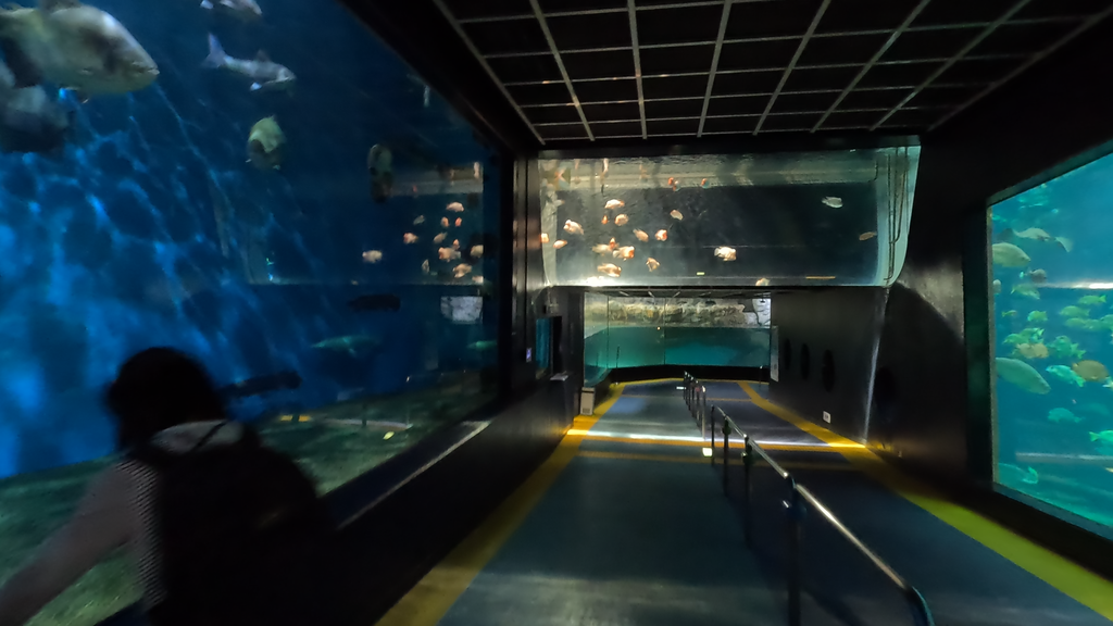 箱根水族館の通路と大きな水槽