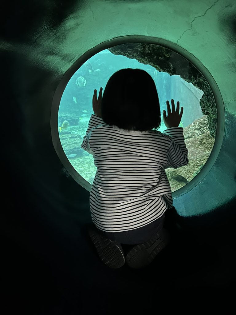 箱根水族館の丸窓と娘