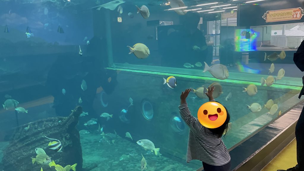 箱根水族館のメイン水槽