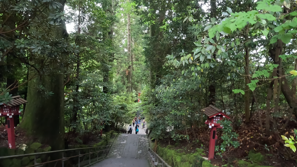 箱根神社の階段（上から）