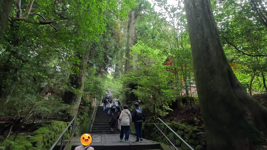 箱根神社の階段（下から）