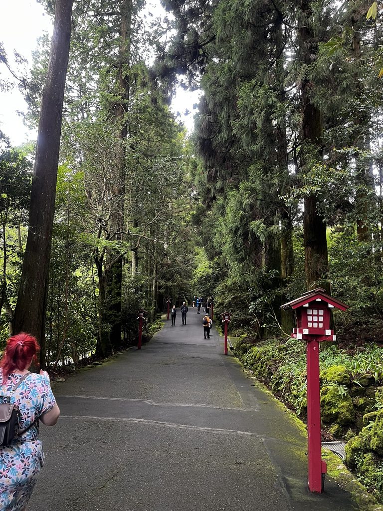 箱根神社へ向かう参道